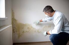 Best Mold Damage Restoration  in Krebs, OK